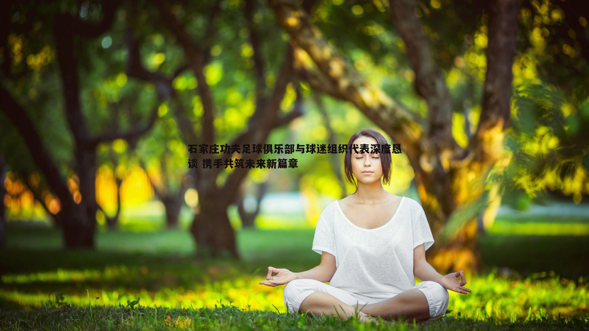 石家庄功夫足球俱乐部与球迷组织代表深度恳谈 携手共筑未来新篇章