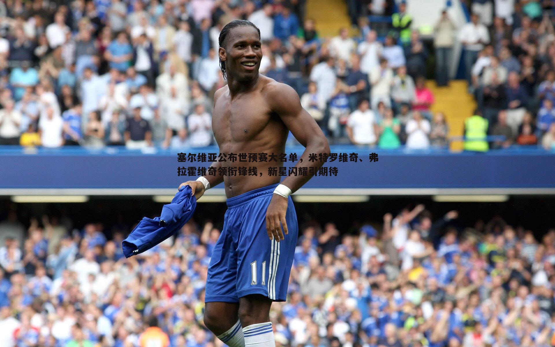 塞尔维亚公布世预赛大名单,米特罗维奇、弗拉霍维奇领衔锋线,新星闪耀引期待